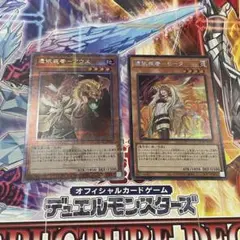 憑依装着 アウス ヒータ 絵違い クオシク シク
