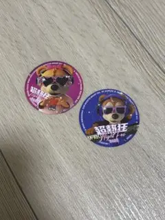サンフレッチェ広島 超熱狂ナイトフェス 記念ステッカー2枚セット