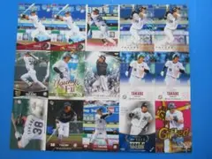 高部瑛斗　１５枚セット　千葉ロッテマリーンズ　BBM