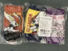 ポケモン靴下15-20サイズ