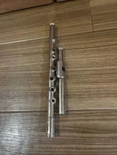 m95247529688_1.jpg?1727778841