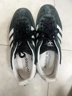 Item thumbnail for item 4112d2e3-df60-41a4-8195-3bcdcf9a1507