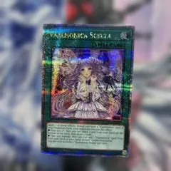 遊戯王　ヴァルモニカシェルタ　25thシークレットレア　クオシク Amazon | 遊戯王カード ヴァルモニカ・シェルタ(25th