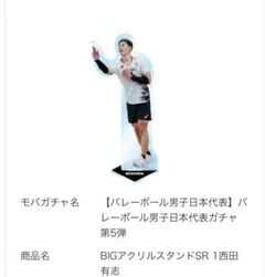 BIGアクリルスタンドSR 1西田 有志