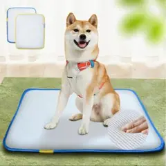 Item thumbnail for item b0b0d7a6-c04a-4909-b2f5-9905b94fd851