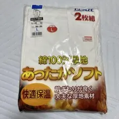Item thumbnail for item 7c1ad308-8f98-4e04-b378-519801eff10d