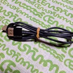 USB-Aケーブル 黒 標準長