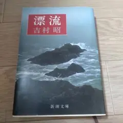 漂流