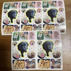 Item thumbnail for item 69285f48-495c-46b4-b2a3-a5da2ebdb70c