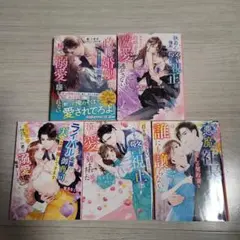 「君を絶対愛さない」と言ったクールな警視正に滾る愛を刻まれました　セット