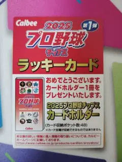 Calbee 2025 プロ野球チップス ラッキーカード