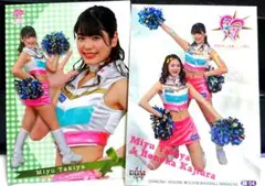 Item thumbnail for item b100693f-2cdb-46dd-9053-eb67687f2920