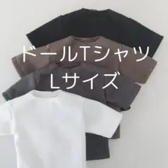 Lサイズ　ドールTシャツ　ケン　BTSマテル　六分の一男子図鑑　服　カラー7色