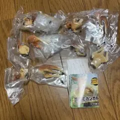 沈黙のカンガルー　ガチャ