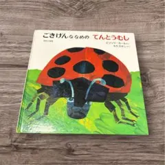 ごきげんななめのてんとうむし　エリックカール