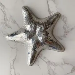 ヒトデ　スターフィッシュ型