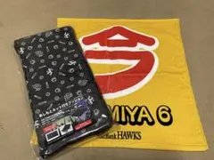 ソフトバンクホークス　クッション&タオル