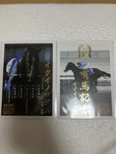 イクイノックス　　御駿印