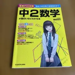 中2数学が面白いほどわかる本