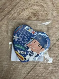 ガルフェス　颯　缶バッチ