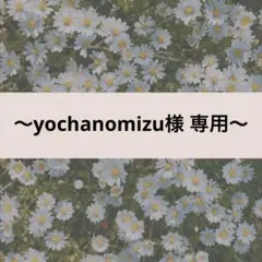 【yochanomizu様】たまごっち パラダイス カバー★