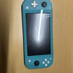 NintendoSwitchLight ジャンク