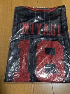 オリックス夏の陣2025 宮城大弥