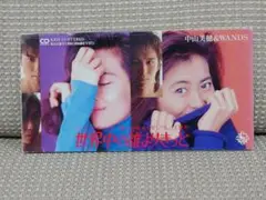 中山美穂&WANDS 世界中の誰よりきっと