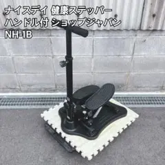 ナイスディ 健康ステッパー ハンドル付き NH-1B