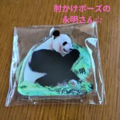 アドベンチャーワールド　永明さん 限定特典アクリルスタンド パンダ