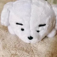 和山やま　わぬ