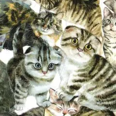 ステッカー　猫B　15種30枚　PET素材シール　猫のシール　コラージュ素材