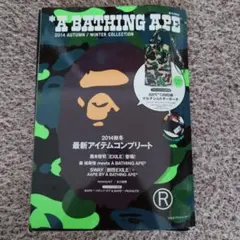 Item thumbnail for item 180c0906-9f8d-414f-bca7-759120f08f30