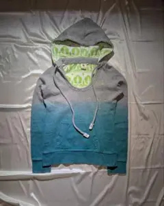 【00's】element gradient hoodie