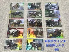 サラブレッドホースコレクション 第2R 14枚