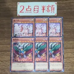 龍大神 3枚/獄落鳥 3枚