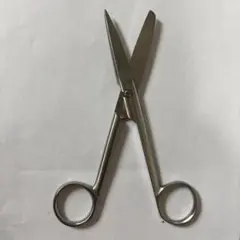 Item thumbnail for item 59bfd1f0-01d0-4598-86a3-5df1c17e514b
