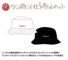 Item thumbnail for item 38860a09-c483-4689-b20d-907c3918f1dc