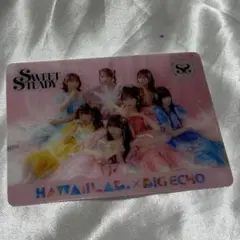 SWEETSTEADY ビッグエコー