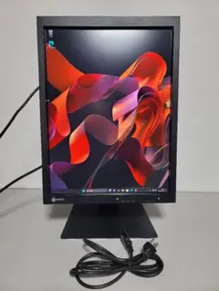 EIZO RadiForce MX215 21.3インチ医療用 モニター