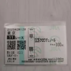 第92回東京優駿日本ダービー　優勝クロワデュノール　現地的中単勝馬券