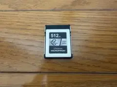 Item thumbnail for item 2412477d-d0f1-4666-af50-77d55ca2118a