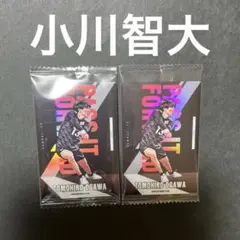 男子バレーツインウエハース　カード　小川智大　サントリーサンバーズ大阪