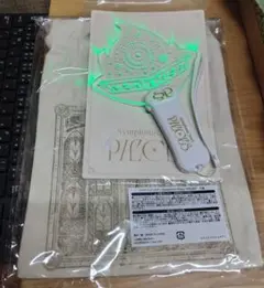アイナナ SSP グッズ席 特典 巾着 プレートライト