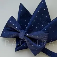 Item thumbnail for item 4249048c-b647-40d1-a11d-d9aeaf6620b1