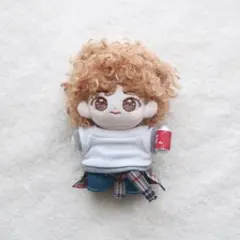 bts ぬいぐるみ　10センチ　テテ　服　コスチューム