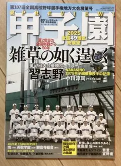 甲子園　2025全国49地区総展望　健大高崎　ベースボールマガジン