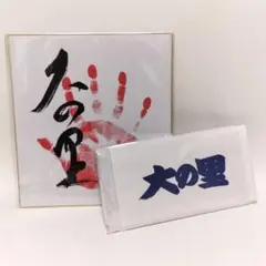 2025年最新】大の里 手形の人気アイテム - メルカリ