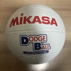 Mikasa DODGE BALL 教育用　1号