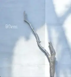 Item thumbnail for item 37ec933e-108f-49eb-b0ec-3f158205a273